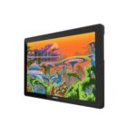 Huion Kamvas 22 Plus Stylus pen with Display FHD 21.5" - Image 2