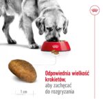 ROYAL CANIN Maxi Adult - dry dog food - 15 kg - Image 5