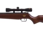 Air Rifle BEEMAN USA QUIET TEK m.1153 GAS RAM k.5.5 mm - Image 5