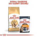 ROYAL CANIN FBN Bengal Adult - dry cat food - 10kg - Image 7