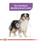 ROYAL CANIN CCN Medium Sterilised  Adult - dry dog food - 12 kg - Image 2