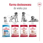 ROYAL CANIN SHN Medium Adult - dry dog food - 15kg - Image 13
