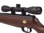 Air Rifle BEEMAN USA QUIET TEK m.1153 GAS RAM k.5.5 mm - Image 9