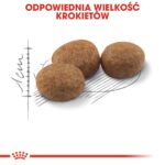 ROYAL CANIN Sterilised 37 - dry cat food - 10 kg - Image 3