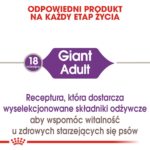 ROYAL CANIN Giant Adult - dry dog food - 15 kg - Image 4