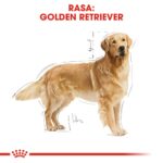 ROYAL CANIN BHN Golden Retriever dry dog food - 12kg - Image 2