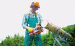 Einhell GE-LC 18 Li Solo Pruning Battery Chainsaw Solo 18V 2.9kg with Blade 25cm - Image 3