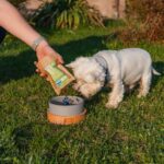 ANIMAL ISLAND Adult Medium Salmon - dry dog food - 12kg - Image 2