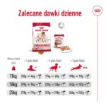 ROYAL CANIN SHN Medium Adult - dry dog food - 15kg - Image 6