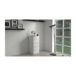Topeshop W5 BIEL MAT chest of drawers