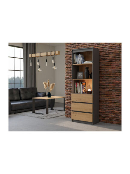 Topeshop RS-60 ANT/ART KPL office bookcase