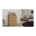 Topeshop 2D2S ARTISAN chest of drawers