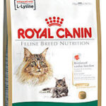 ROYAL CANIN FBN Maine Coon Adult dry cat food - 10kg