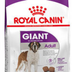 ROYAL CANIN Giant Adult - dry dog food - 15 kg