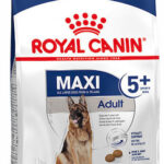 ROYAL CANIN Maxi Adult 5+ - dry dog food - 15 kg