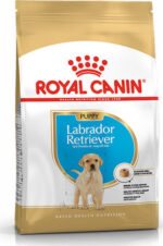 ROYAL CANIN SHN Breed Labrador Junior dry dog food - 12 kg