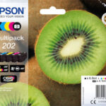 Epson Ink 202 Multipack (C13T02E74010)