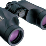 Olympus  8x42 EXPS I