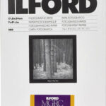 1x100 Ilford MG RC DL 25M  18x24