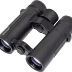 Braun Compagno           8x34 WP