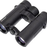 Braun Compagno          10x34 WP