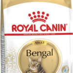 ROYAL CANIN FBN Bengal Adult - dry cat food - 10kg