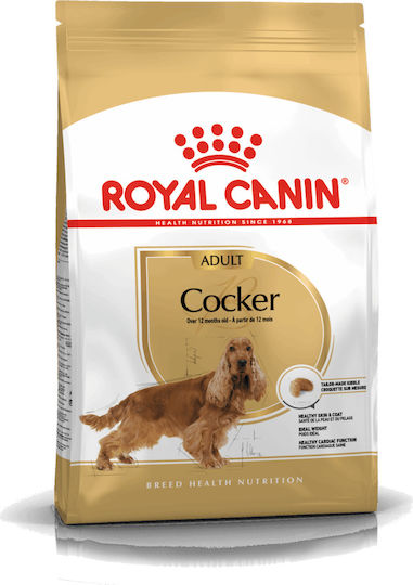 xlarge_20211104095951_royal_canin_cocker_adult_12kg.jpeg ROYAL CANIN Adult Cocker - dry dog food - 12 kg - Image 1