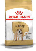 ROYAL CANIN Bulldog Adult - dry dog food - 12 kg