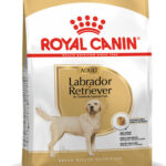 ROYAL CANIN Labrador Adult - dry dog food - 12 kg
