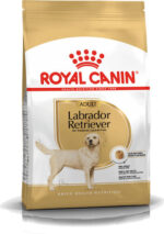 ROYAL CANIN Labrador Adult - dry dog food - 12 kg