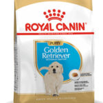 ROYAL CANIN Golden Retriever Puppy - dry dog food - 12 kg