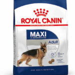 ROYAL CANIN Maxi Adult - dry dog food - 15 kg