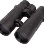 Braun Compagno          10x50 WP