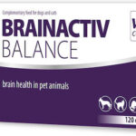 VETFOOD Brain Activ Balance - supplements for dogs and cats - 120pcs