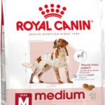 ROYAL CANIN SHN Medium Adult - dry dog food - 15kg