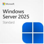 Microsoft Windows 1 Licence Multi-Language