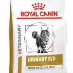 ROYAL CANIN Cat Urinary s/o Moderate calorie VHN - dry cat food - 7kg