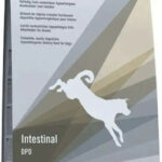TROVET Hypoallergenic Intestinal DPD with duck - dry dog food - 10 kg
