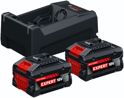 Bosch Starter-Set 2x EXBA18V-55 GAL12V/18V-80
