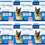 VIRBAC Effipro L (20-40 kg) - drops against fleas and ticks for dogs –  24 pcs