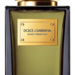 Dolce and Gabbana Dolce and Gabbana Dolce and Gabbana Dolce and Gabbana Dolce and Gabbana Dolce and Gabbana D y g Velvet Tender Oud Edp 100ml