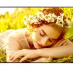 LG 65UL5Q-M Public Display 65" LED 4K UHD
