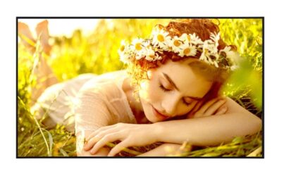 LG 65UL5Q-M Public Display 65" LED 4K UHD