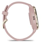Garmin Venu 3S Stainless Steel 41mm Waterproof Smartwatch with Heart Rate Monitor (Soft Gold Stainless Steel Bezel with Dust Rose Case and Silicone Band) - Image 7